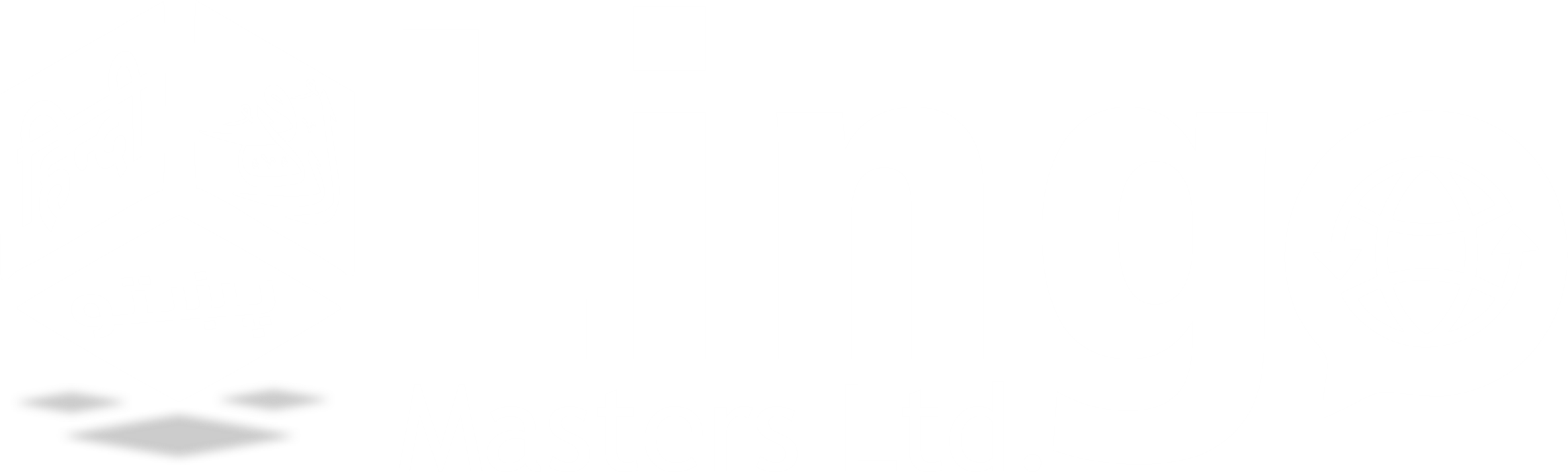 LINGO MASTERS LTD LINGO MASTERS LTD
